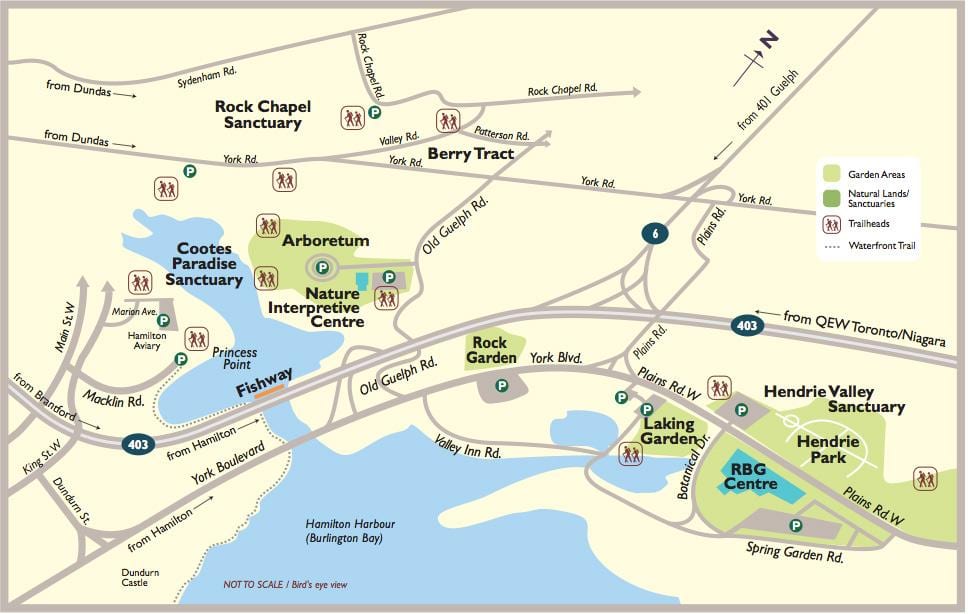 Mapa do Real xardín botánico de Toronto