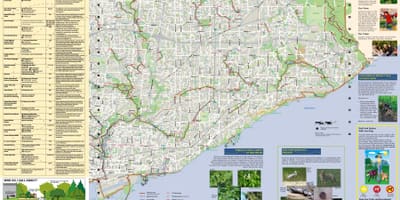 Mapa de parques e rutas para camiñar Leste Toronto
