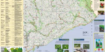 Mapa de parques e rutas para camiñar Leste Toronto
