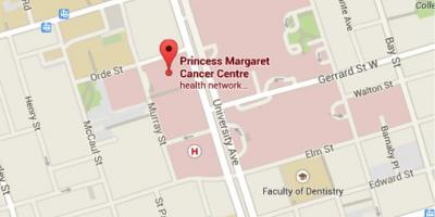 Mapa de Princesa Margaret Cancro Centro de Toronto