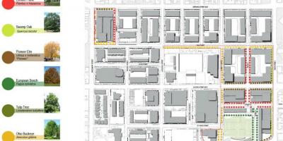 Mapa de Revitalización plan Director Parque Toronto fase 3